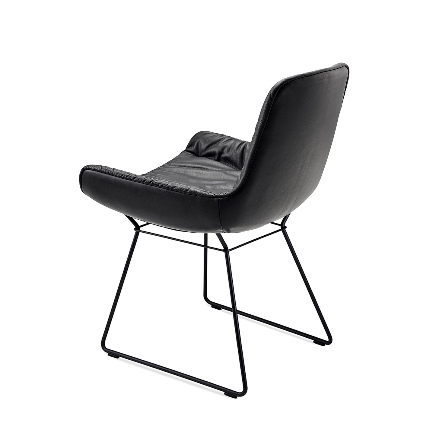 freifrau | leya armchair low | wire frame | sahara ebony (black) leather