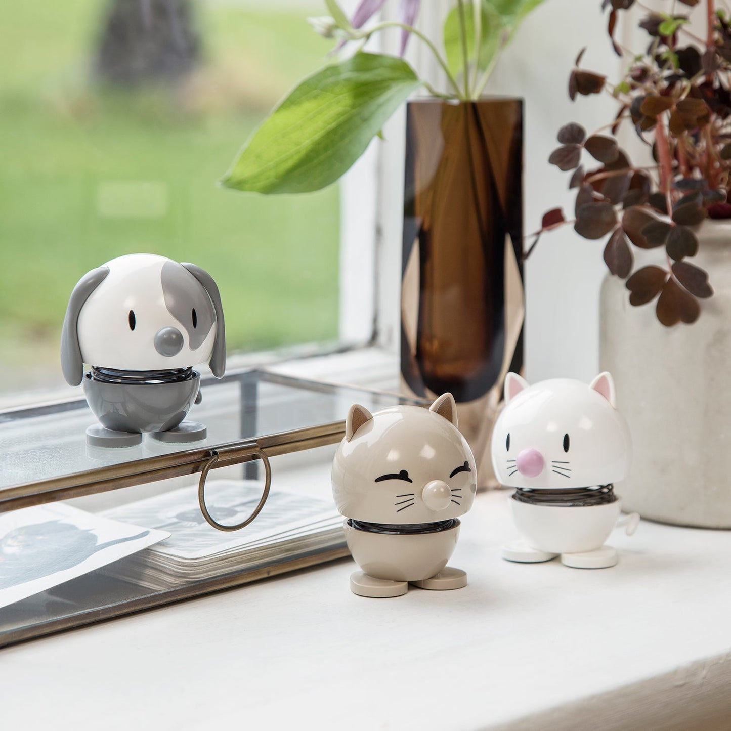 hoptimist | animals | cat white small