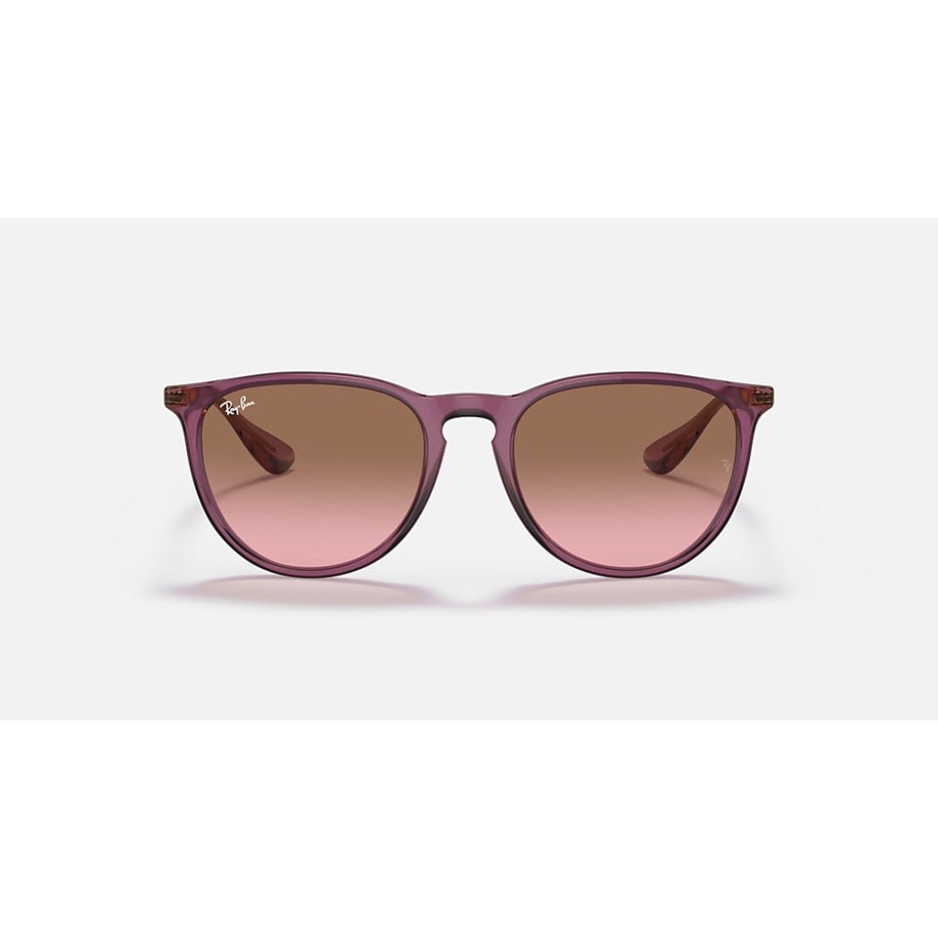RAYBAN - ERIKA | Polished Transparent Violet w/ Brown
