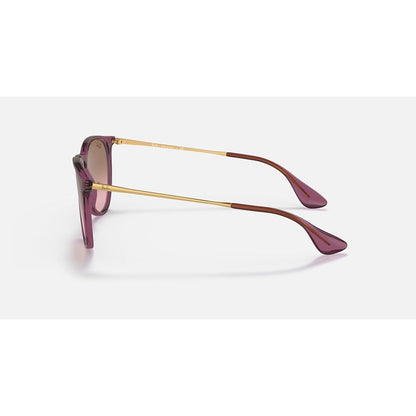 RAYBAN - ERIKA | Polished Transparent Violet w/ Brown