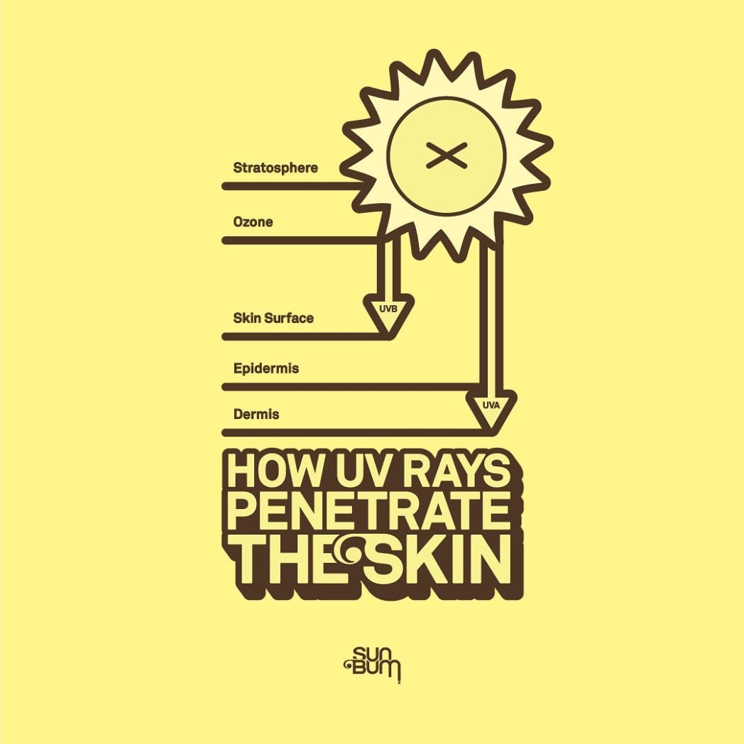 SUN BUM - Sunscreen | Spray SPF 50