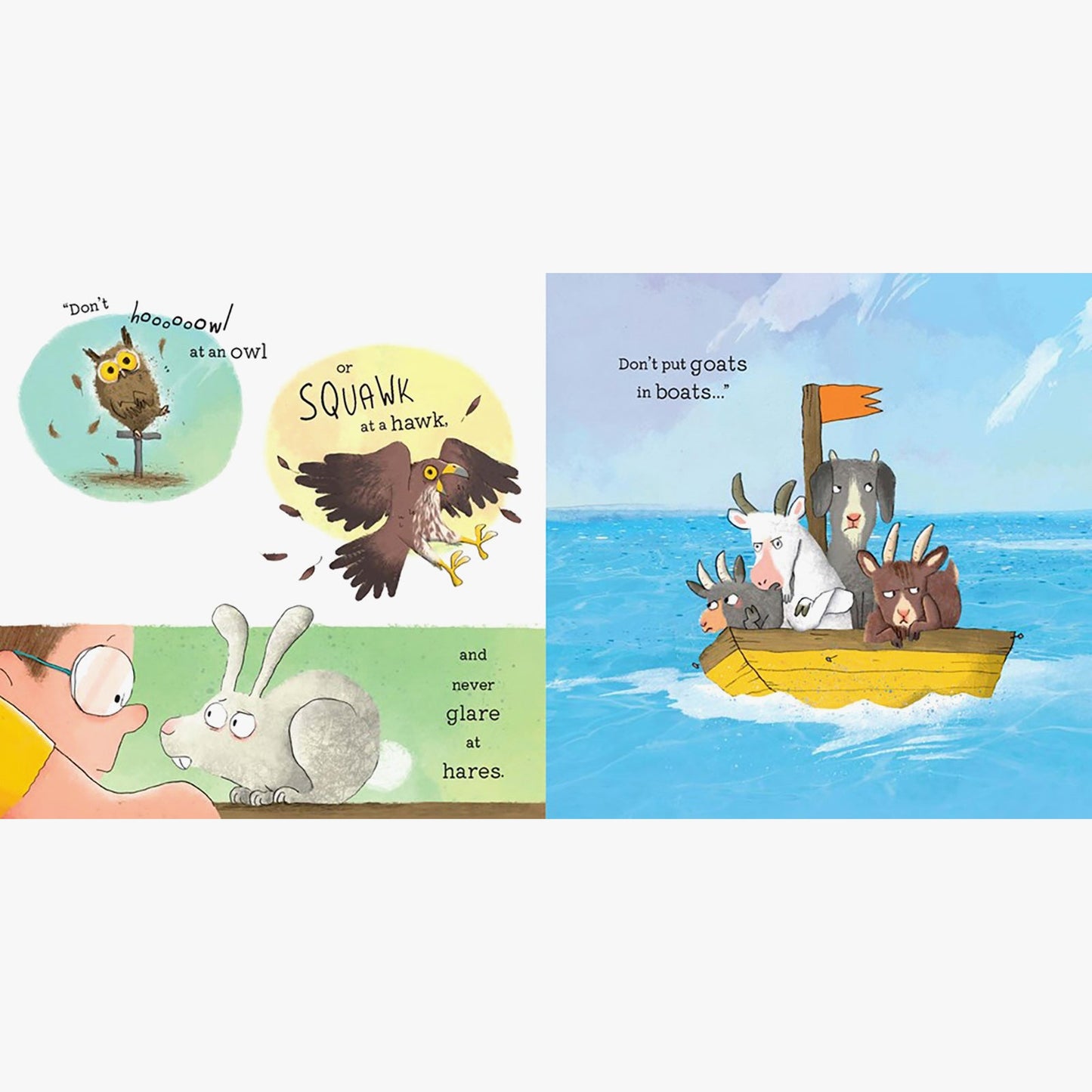 Don't Laugh at Giraffes Book