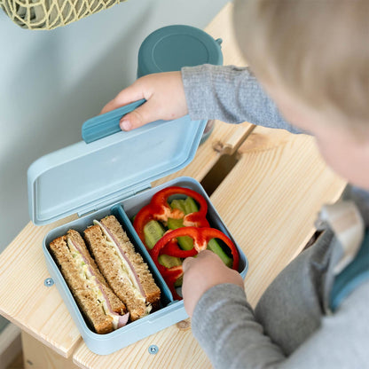 Done By Deer Lunch Box With Divider - Tiny Farm Blue