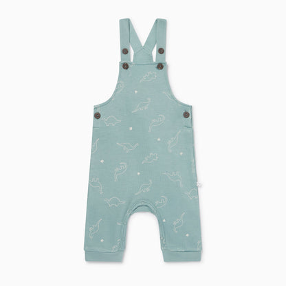 Dino Dungarees & Plain Bodysuit Outfit
