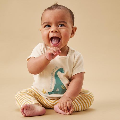 Brachiosaurus Dino T-Shirt
