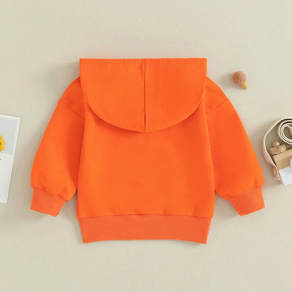 0-36M Infant Baby Hooded Sweatshirt Solid Color Long Sleeve Hoodie Pullovers For Toddler Boys And Girls Spring Fall Sweatshirt