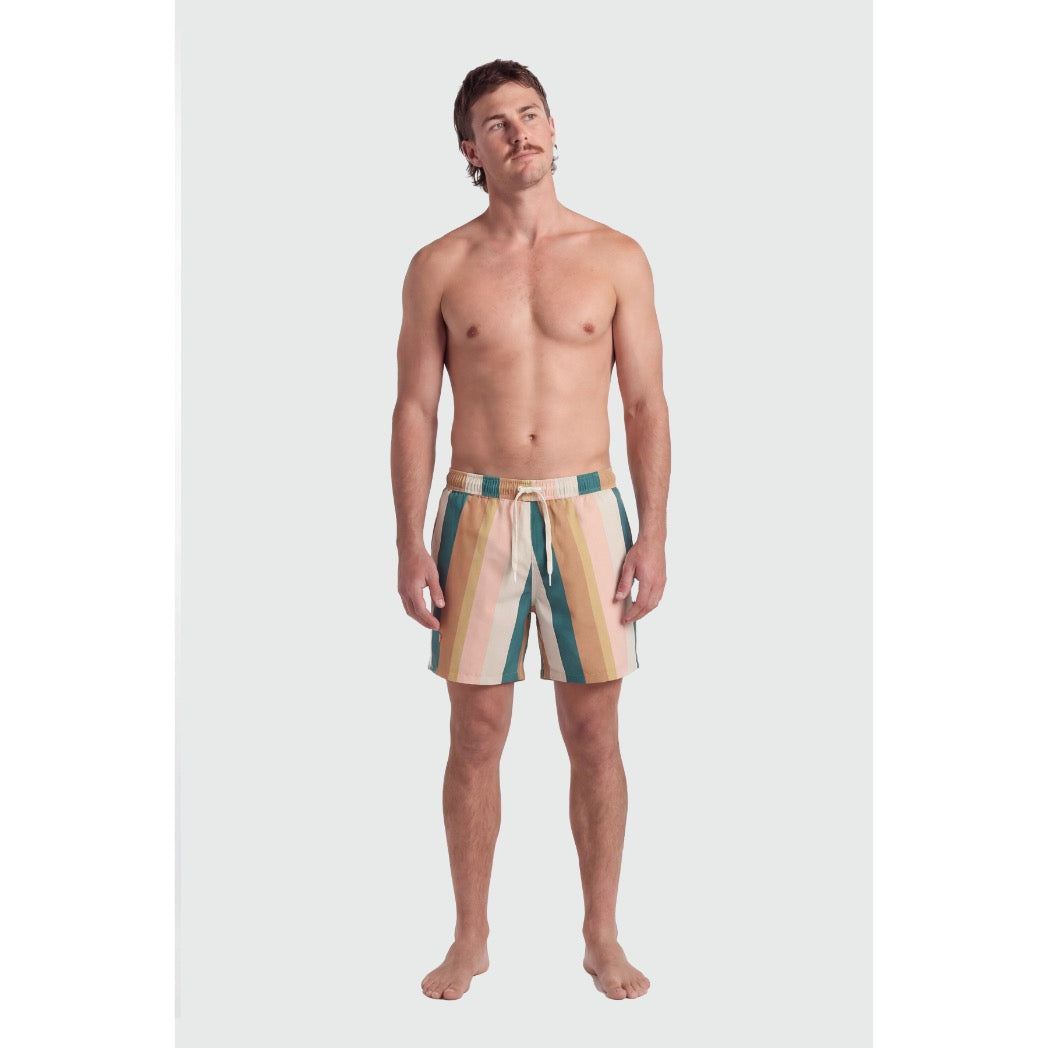 TEAMLTD - CLASSIC 6" SWIM SHORTS | Palette