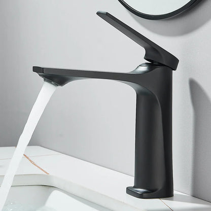 Black Bathroom Sink Faucet for Two Hole Kitchen Stainless Steel Washbasin Shower Faucet Accessories Hot & Cold Water Mixer Tap