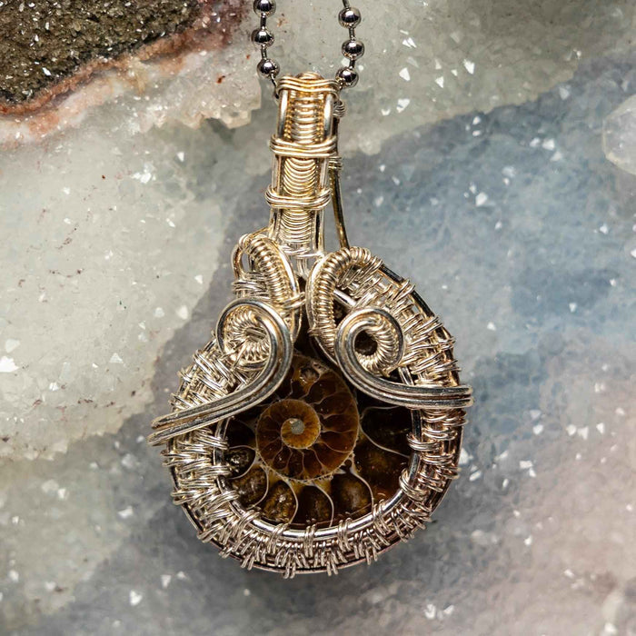Ammonite Fossil Wire Wrap Pendant
