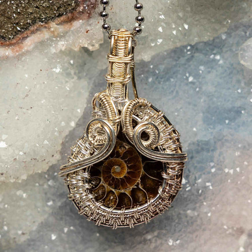 Ammonite Fossil Wire Wrap Pendant