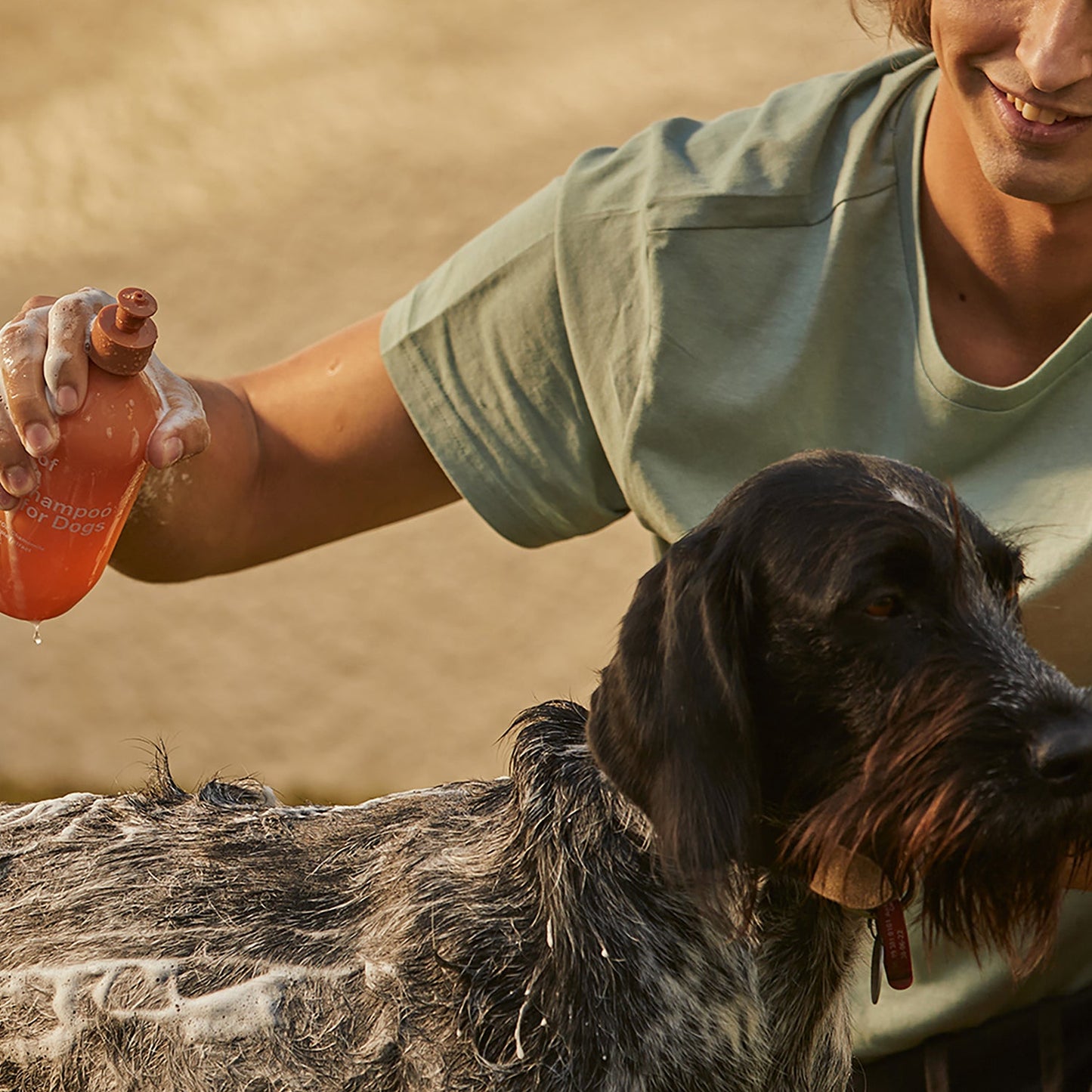 ashley + co | awoof wash dog shampoo | topup
