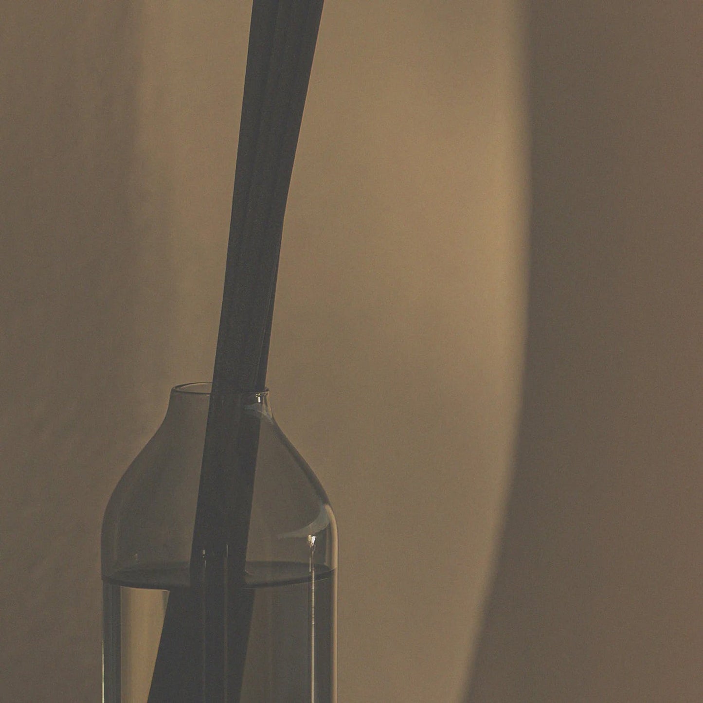 ashley + co | home perfume scent diffuser | parakeets + pearls