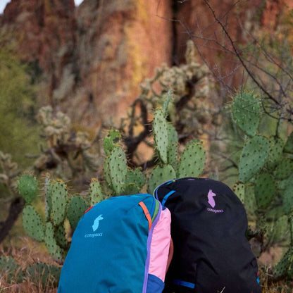 Allpa 28L Travel Pack | Del Día