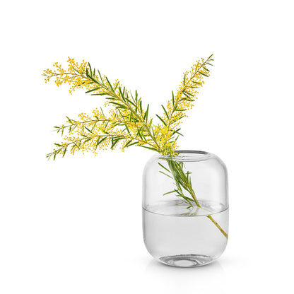 eva solo | acorn vase 16.5cm | clear - DC