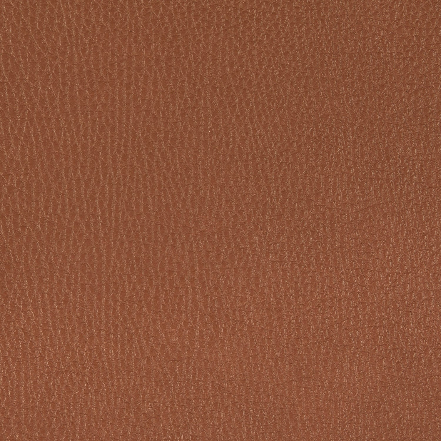 freifrau | leya chair | wire frame | cairo cognac leather