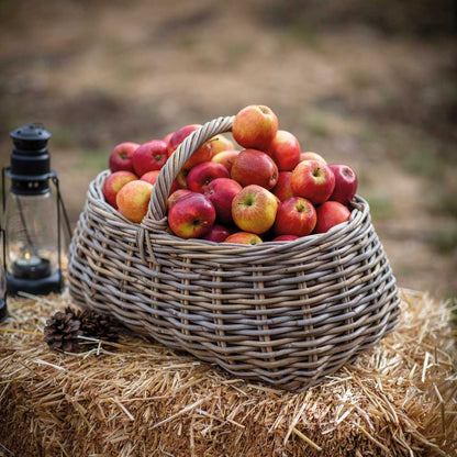 Bembridge Forage Basket