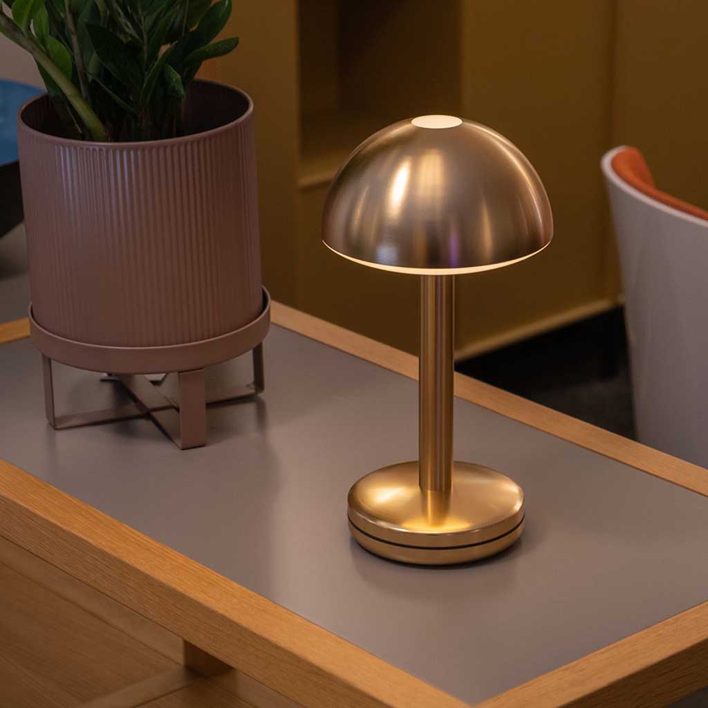 Bug Table Light