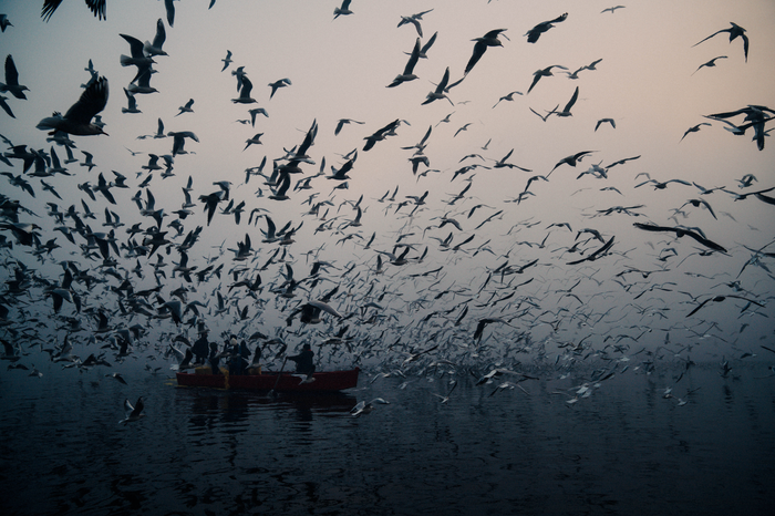 'India' photo book by Adrian Wong