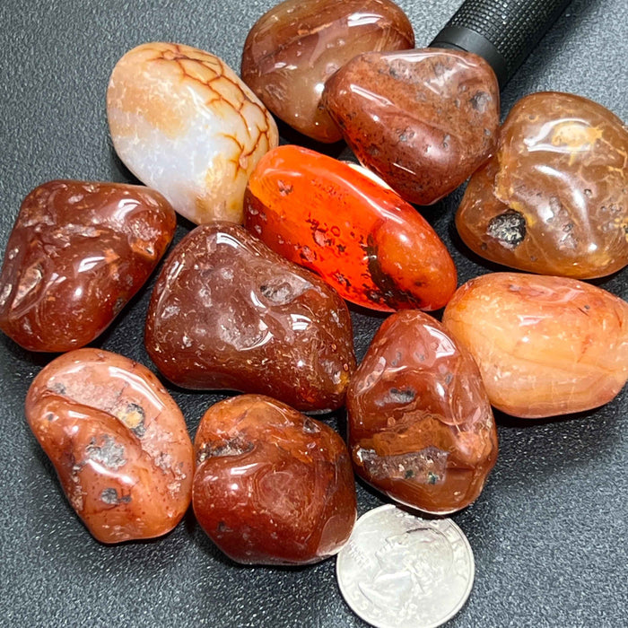 Large Carnelian Red Agate Crystal Tumbled Stones (By The Piece or Pound)