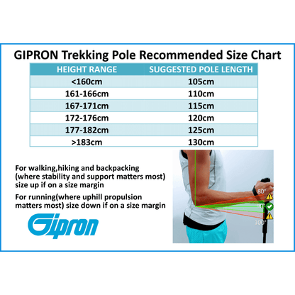 Gipron 311 Titan Compact Trekking Pole