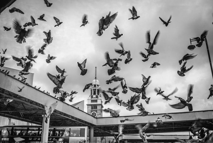 'Vibrant Hong Kong Photography' photo book by Chris Chan